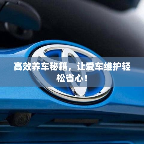 高效养车秘籍，让爱车维护轻松省心！