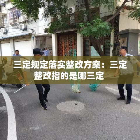 三定规定落实整改方案：三定整改指的是哪三定 