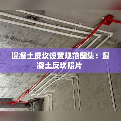 混凝土反坎设置规范图集：混凝土反坎照片 