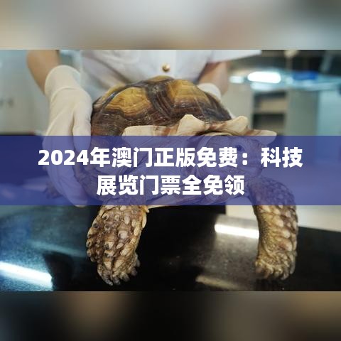 2024年澳门正版免费：科技展览门票全免领