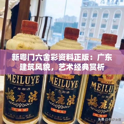 新粤门六舍彩资料正版：广东建筑风貌，艺术经典赏析