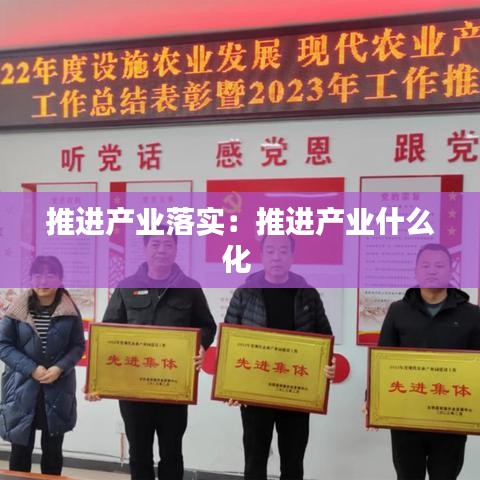 推进产业落实：推进产业什么化 
