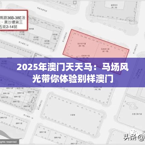 2025年澳门天天马：马场风光带你体验别样澳门