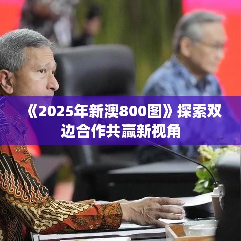 《2025年新澳800图》探索双边合作共赢新视角