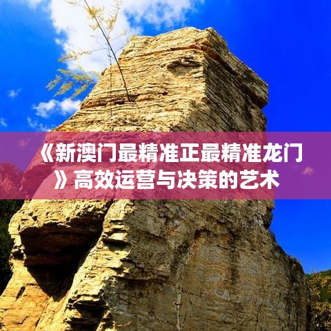 《新澳门最精准正最精准龙门》高效运营与决策的艺术