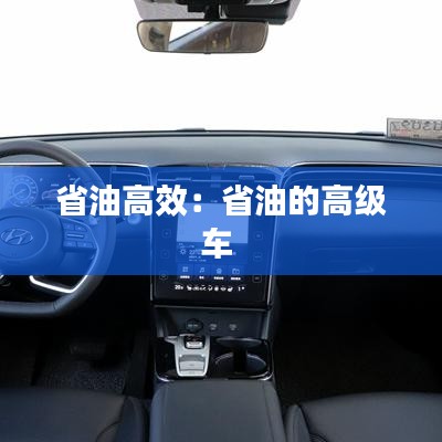 省油高效：省油的高级车 