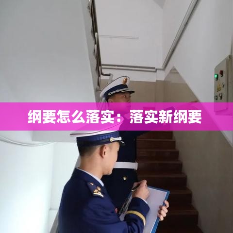 纲要怎么落实：落实新纲要 