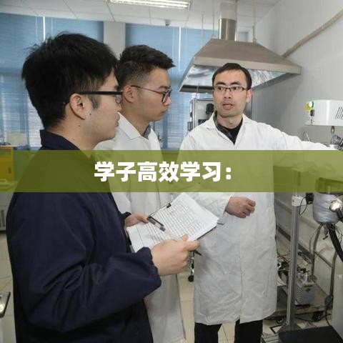 学子高效学习： 