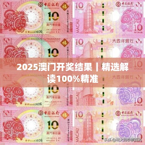 2025澳门开奖结果｜精选解读100%精准