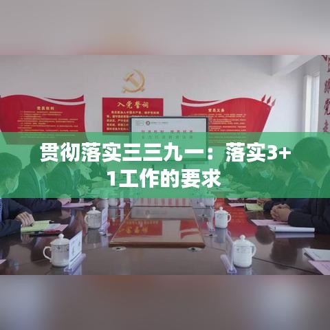 贯彻落实三三九一：落实3+1工作的要求 