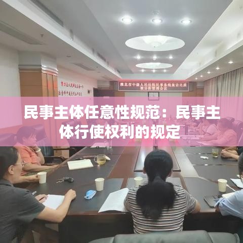 民事主体任意性规范：民事主体行使权利的规定 