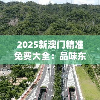 2025新澳门精准免费大全：品味东方之珠的奢华与创新