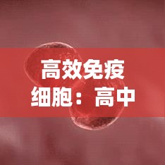 高效免疫细胞：高中免疫细胞 