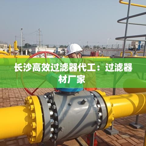 长沙高效过滤器代工：过滤器材厂家 