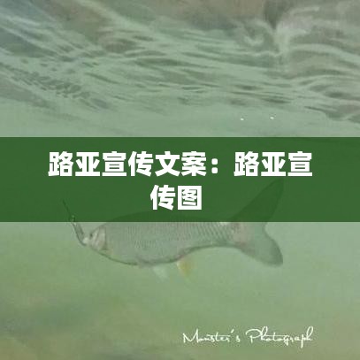 鸷鸟不群 第2页