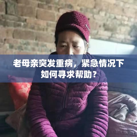 老母亲突发重病，紧急情况下如何寻求帮助？