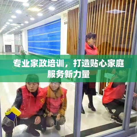 专业家政培训，打造贴心家庭服务新力量