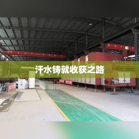 汗水铸就收获之路