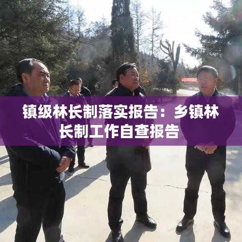 惊弦之鸟 第2页