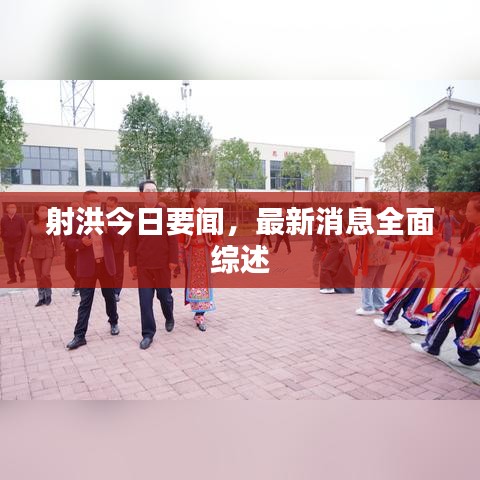 射洪今日要闻，最新消息全面综述