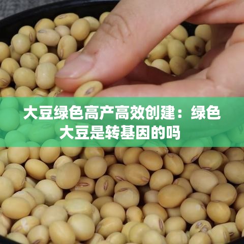 大豆绿色高产高效创建：绿色大豆是转基因的吗 