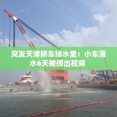 打马虎眼 第2页