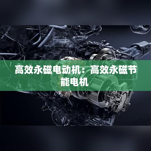 高效永磁电动机：高效永磁节能电机 