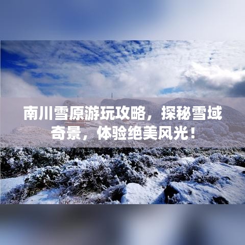 南川雪原游玩攻略，探秘雪域奇景，体验绝美风光！