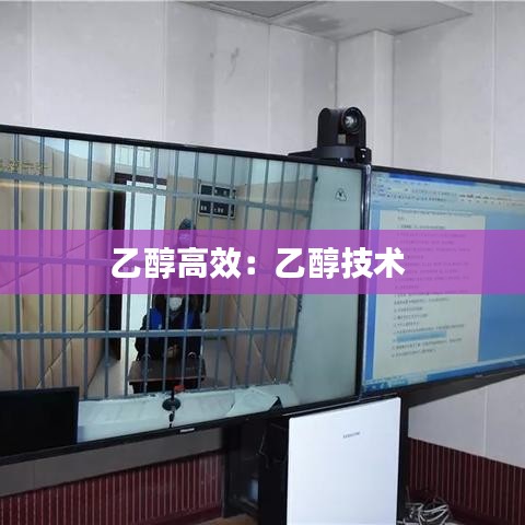 乙醇高效：乙醇技术 