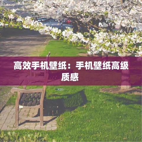 高效手机壁纸：手机壁纸高级质感 