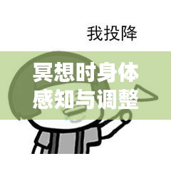 冥想时身体感知与调整，头不断向上抬的原因解析