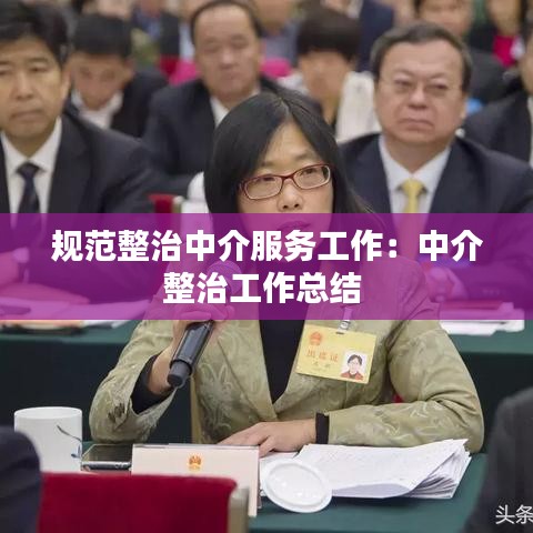 规范整治中介服务工作：中介整治工作总结 