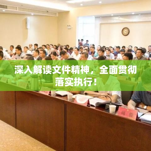 深入解读文件精神，全面贯彻落实执行！