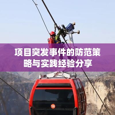 项目突发事件的防范策略与实践经验分享