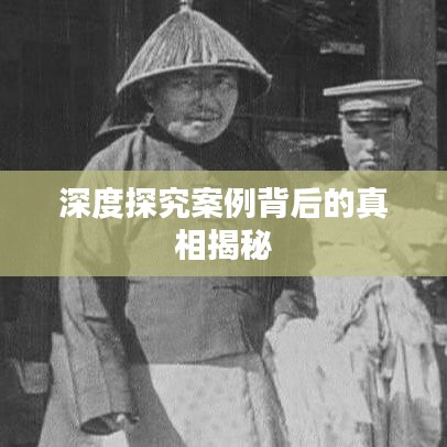 深度探究案例背后的真相揭秘