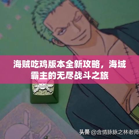海贼吃鸡版本全新攻略，海域霸主的无尽战斗之旅