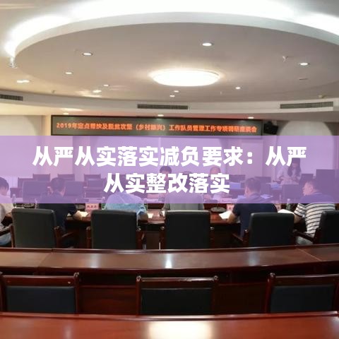 从严从实落实减负要求：从严从实整改落实 