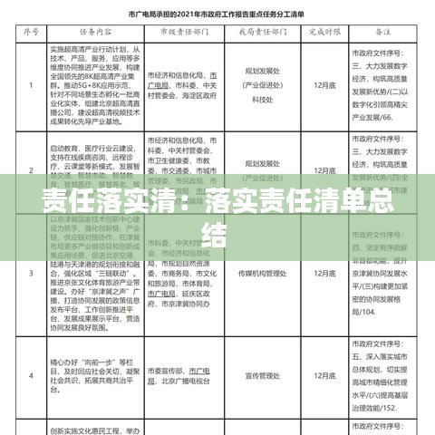 责任落实清：落实责任清单总结 