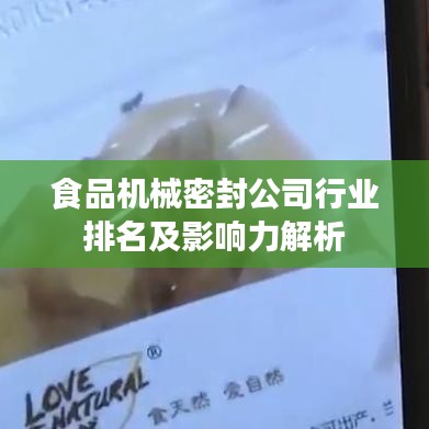 食品机械密封公司行业排名及影响力解析