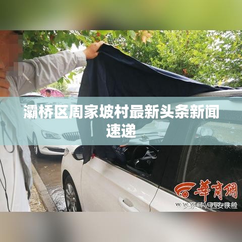 灞桥区周家坡村最新头条新闻速递