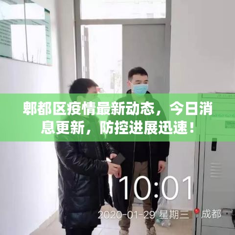 郫都区疫情最新动态，今日消息更新，防控进展迅速！