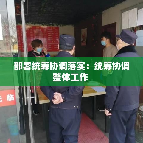 部署统筹协调落实：统筹协调整体工作 