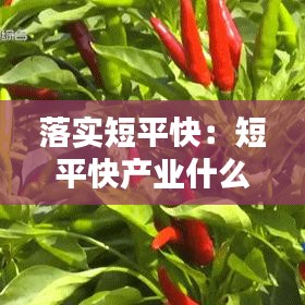 落实短平快：短平快产业什么意思 