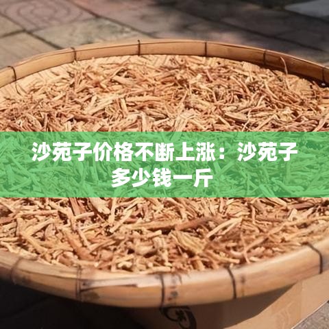 沙苑子价格不断上涨：沙苑子多少钱一斤 