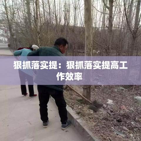 狠抓落实提：狠抓落实提高工作效率 