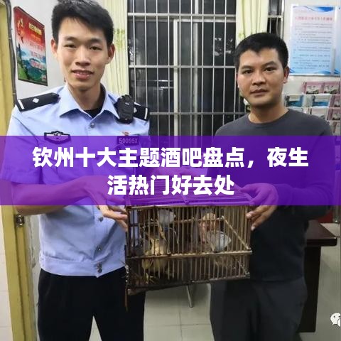 钦州十大主题酒吧盘点，夜生活热门好去处