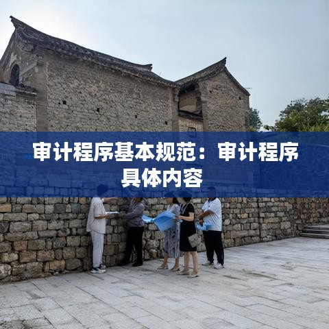 审计程序基本规范：审计程序具体内容 