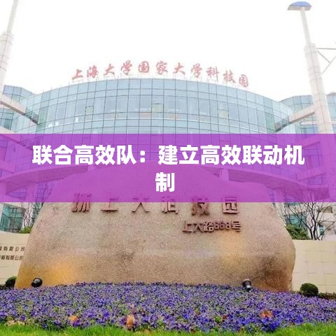 联合高效队：建立高效联动机制 