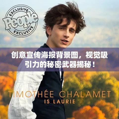 创意宣传海报背景图，视觉吸引力的秘密武器揭秘！