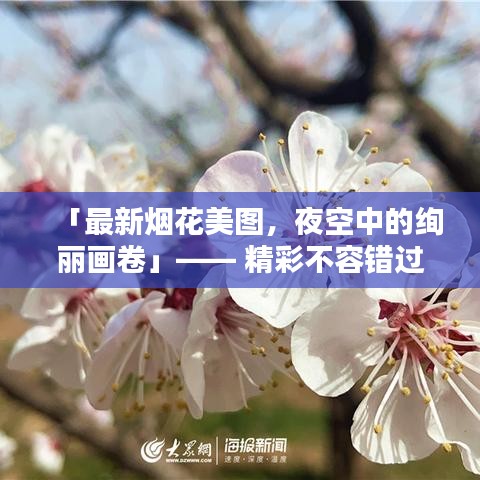 「最新烟花美图，夜空中的绚丽画卷」—— 精彩不容错过！